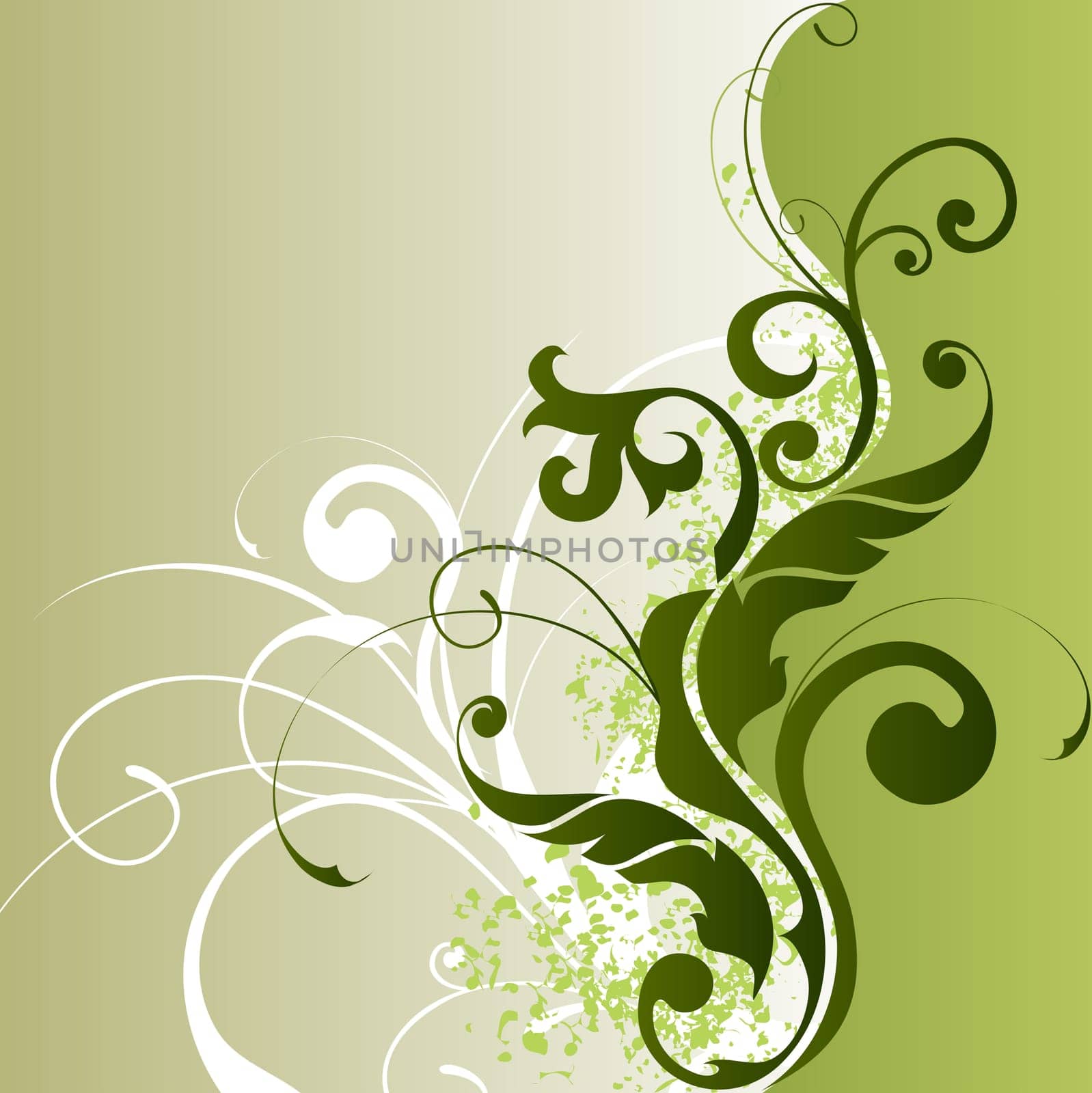 floral background