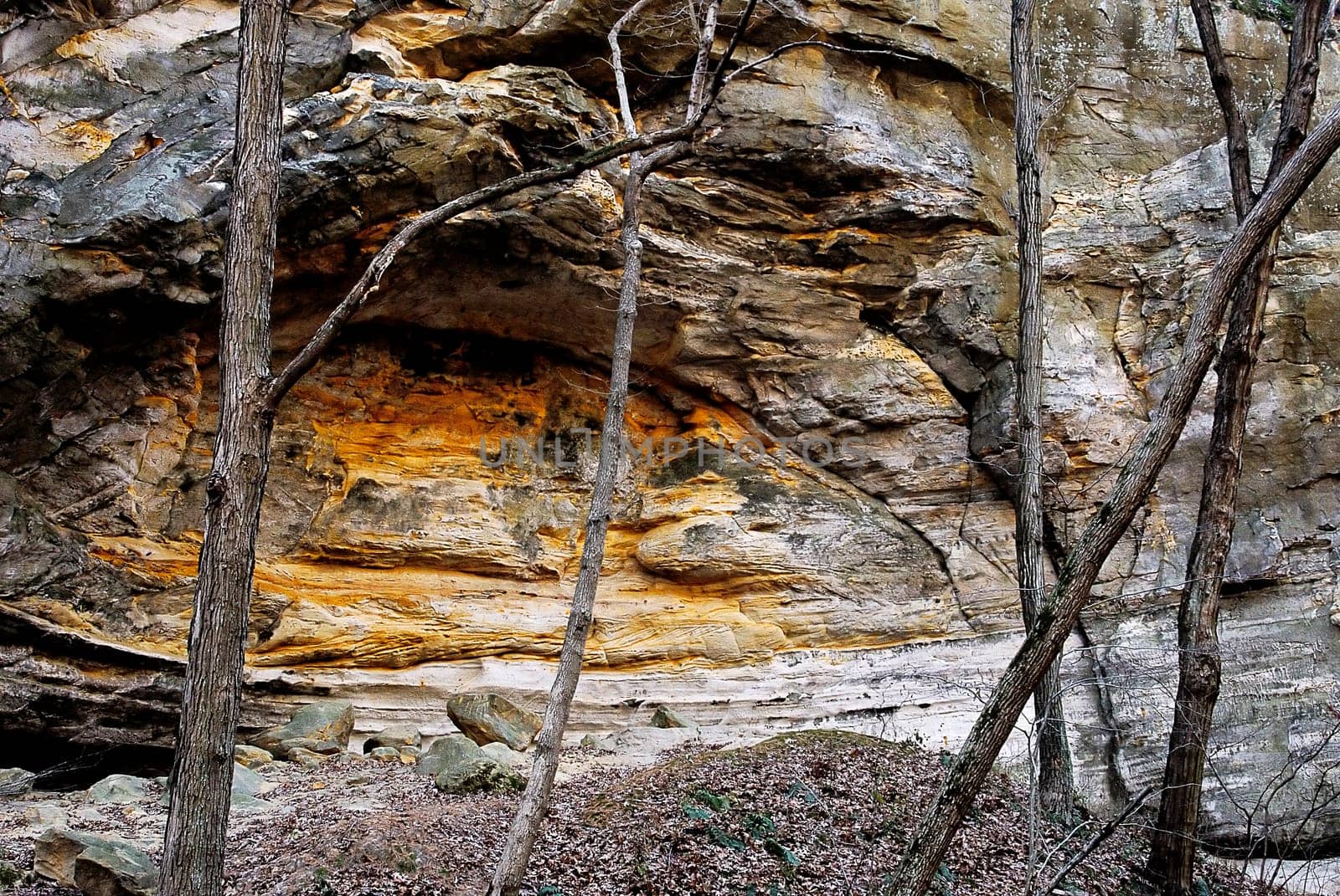 Starved Rock State Park, IL. USA