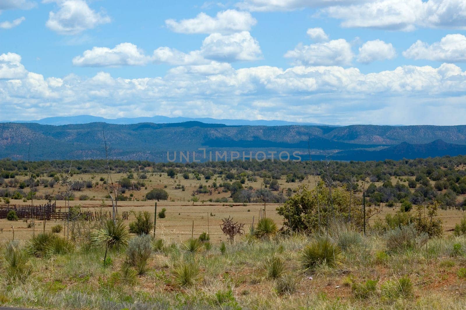 Looking into a distance, desert scene with fluffy sheep like clouds in the sky.