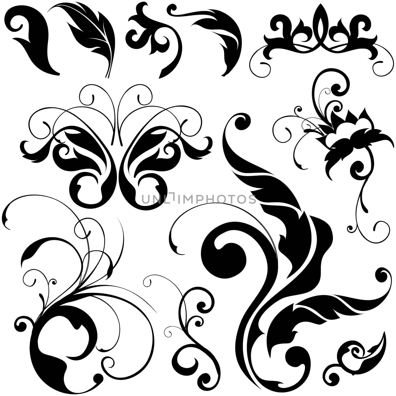 floral background