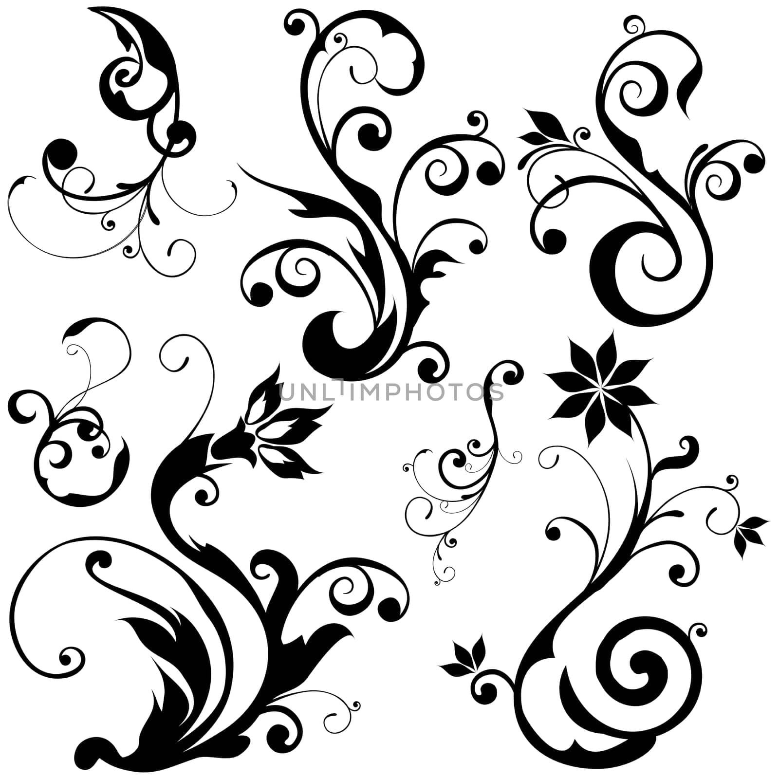 floral background