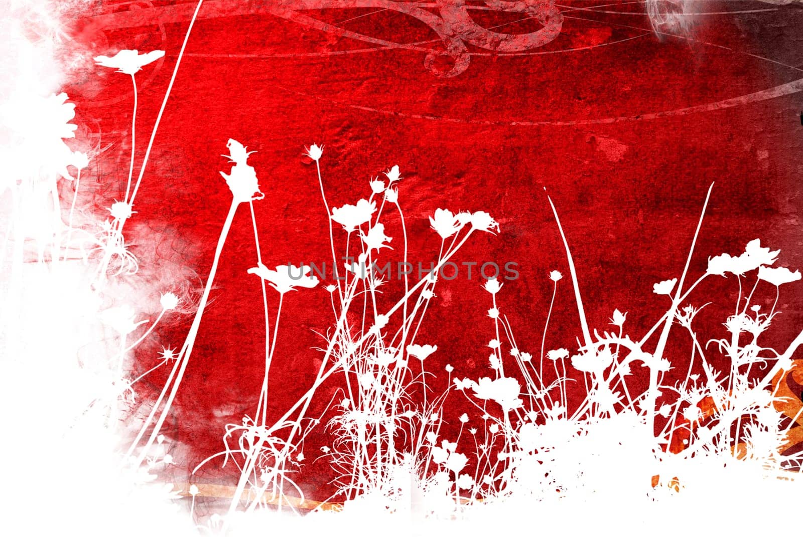 flower abstract textures and backgrounds