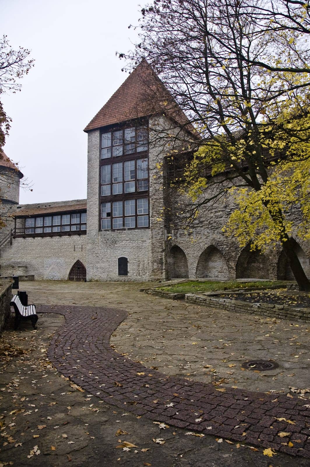 Street of city of Tallinn