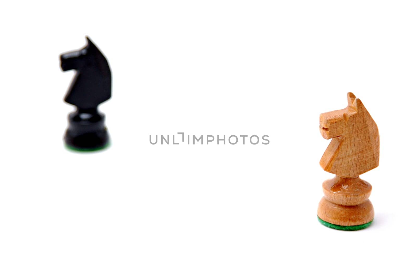 Two horses