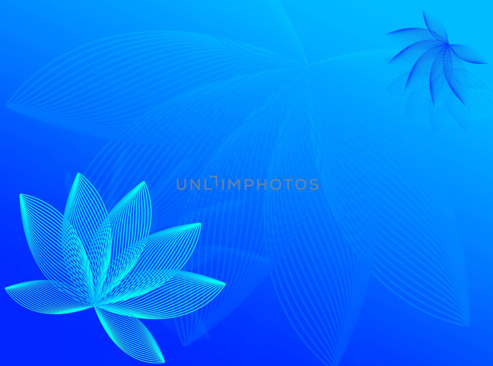 Colorful flowers as decoration for this blue background