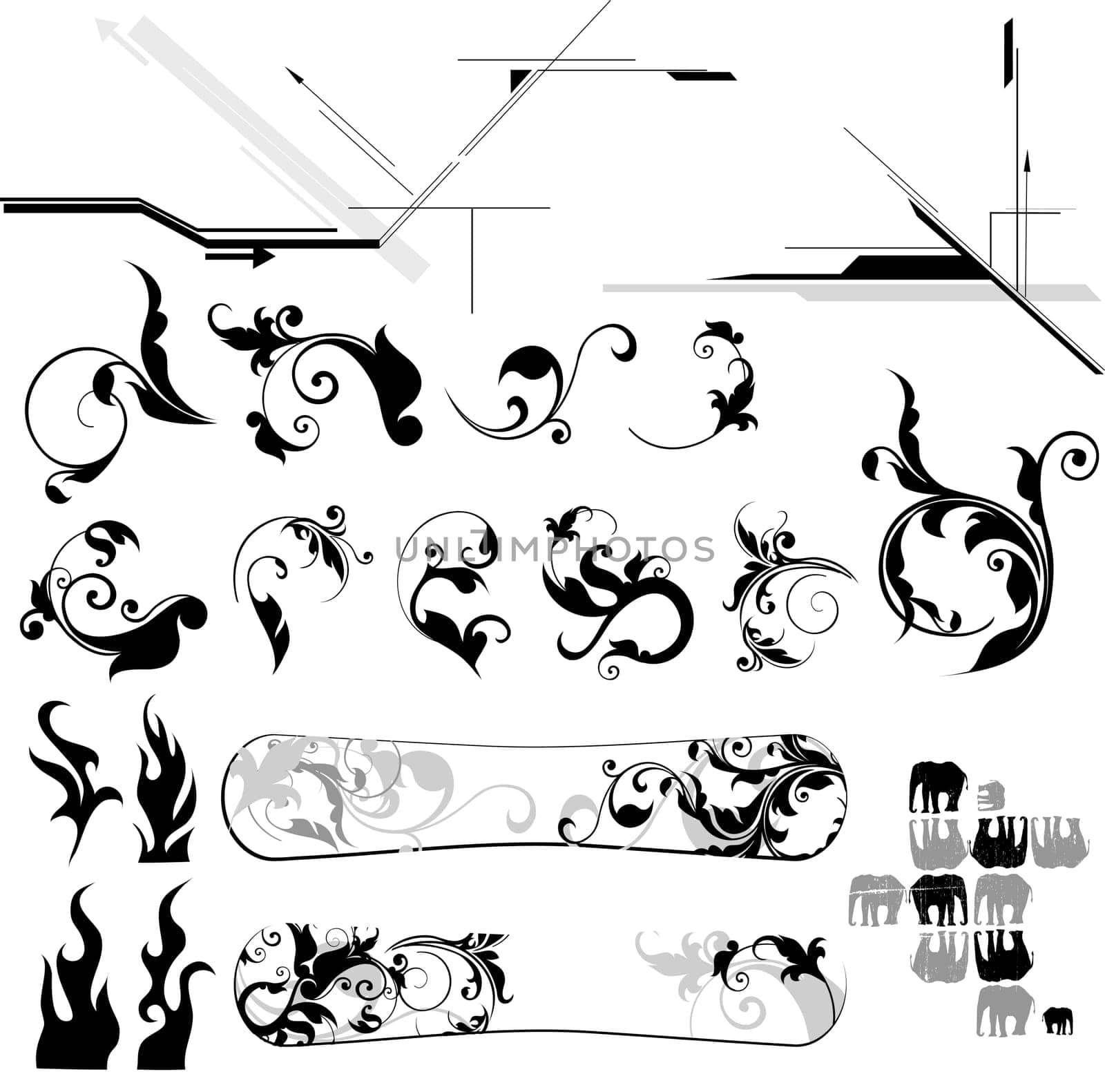 floral design elements