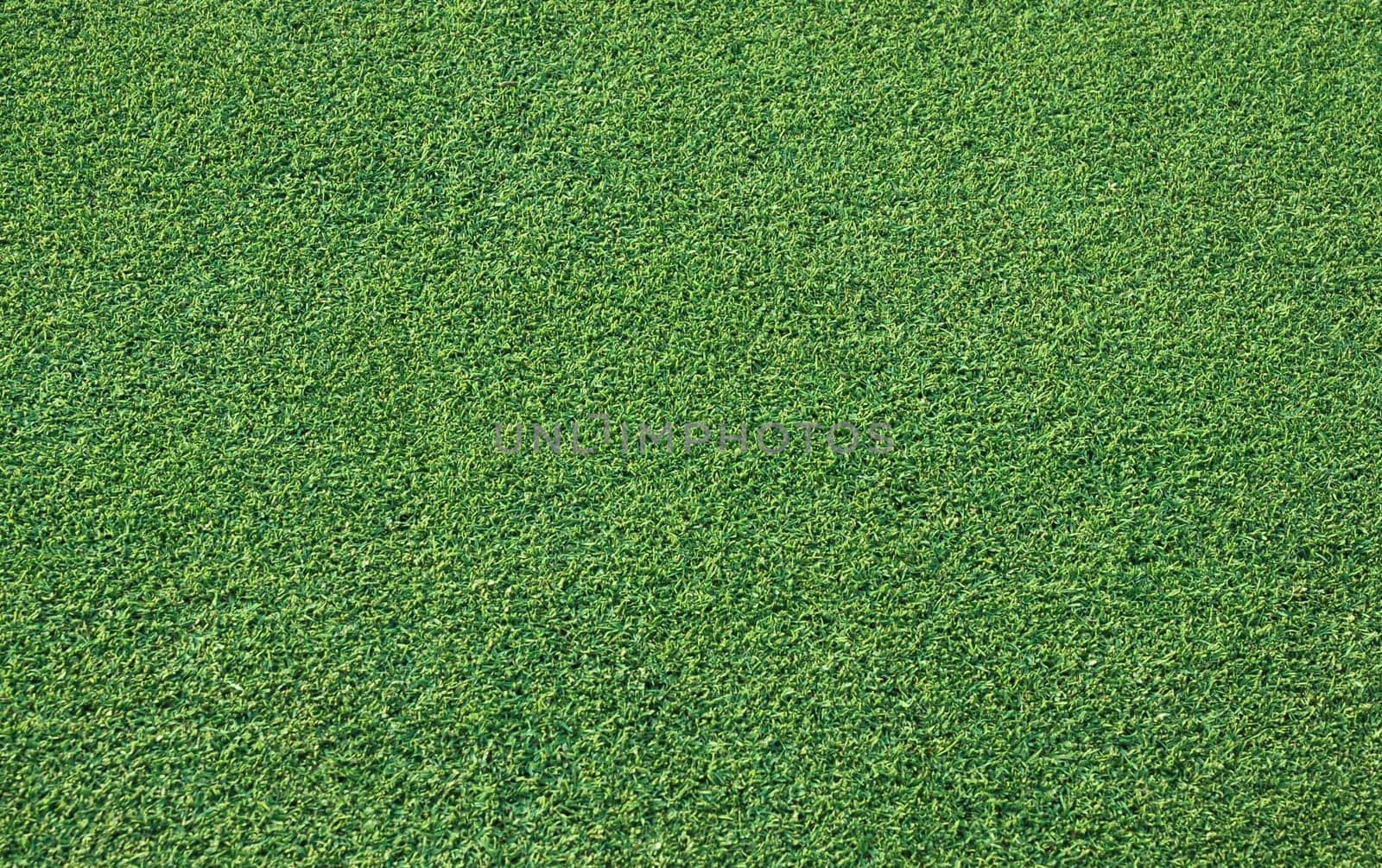 Green grass of a golf course