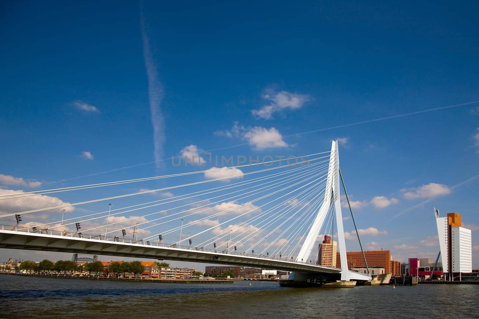 The Erasmus bridge in Rotterdam, Holland
