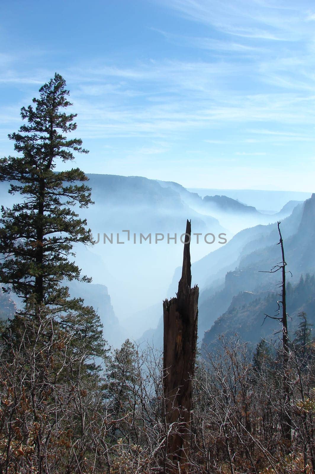 During the month of October there were controlled burns at the North Rim of the Grand Canyon. These were taken from the North Kaibab and Bright Angel trails.