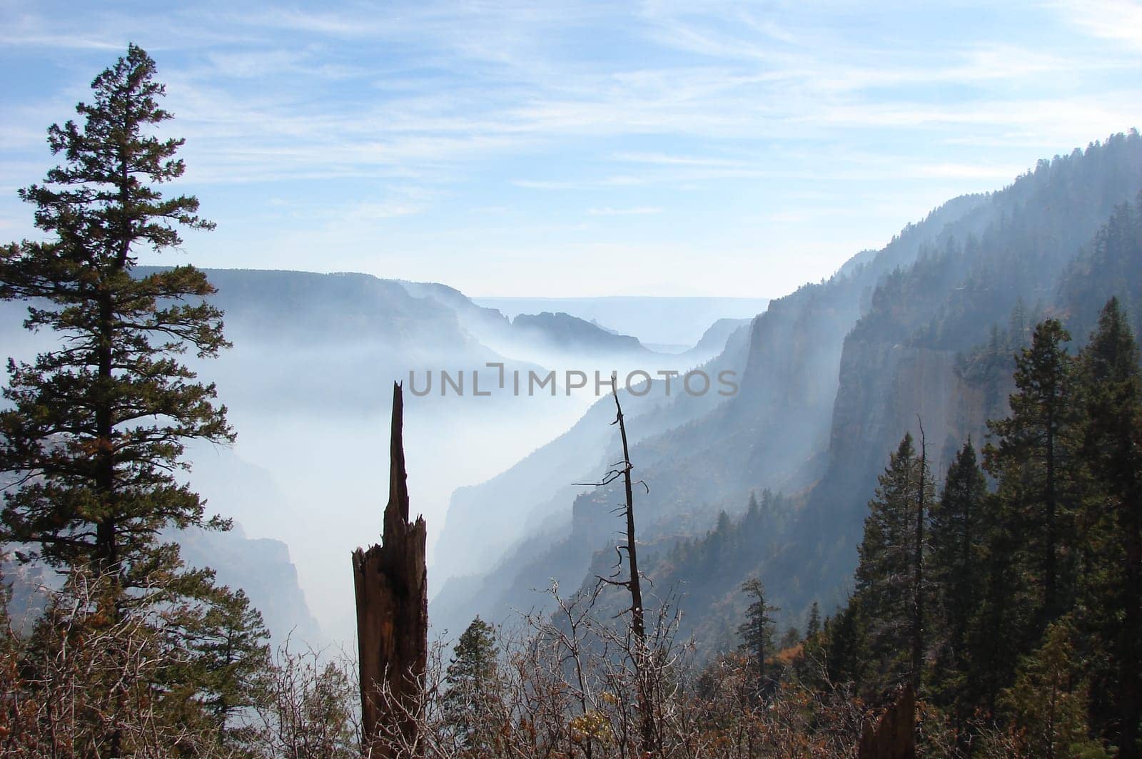 During the month of October there were controlled burns at the North Rim of the Grand Canyon. These were taken from the North Kaibab and Bright Angel trails.