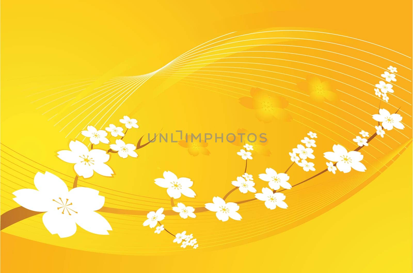 Floral design vectors