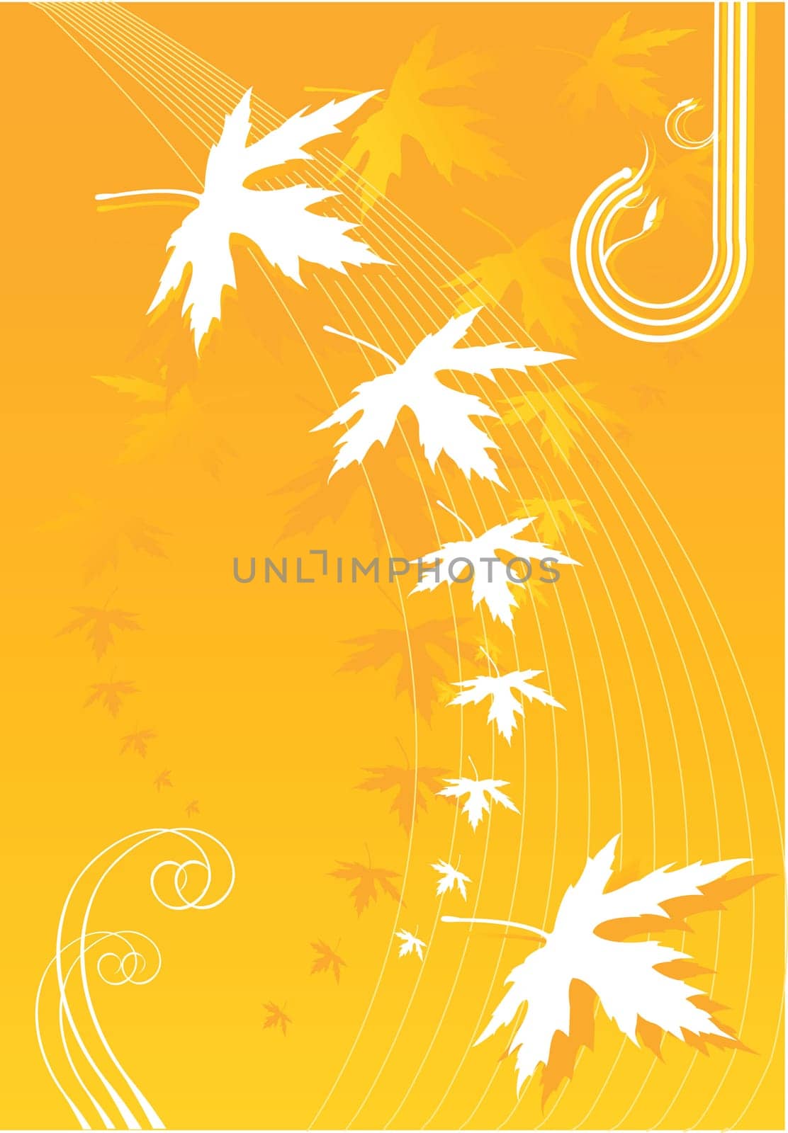 Floral design vectors