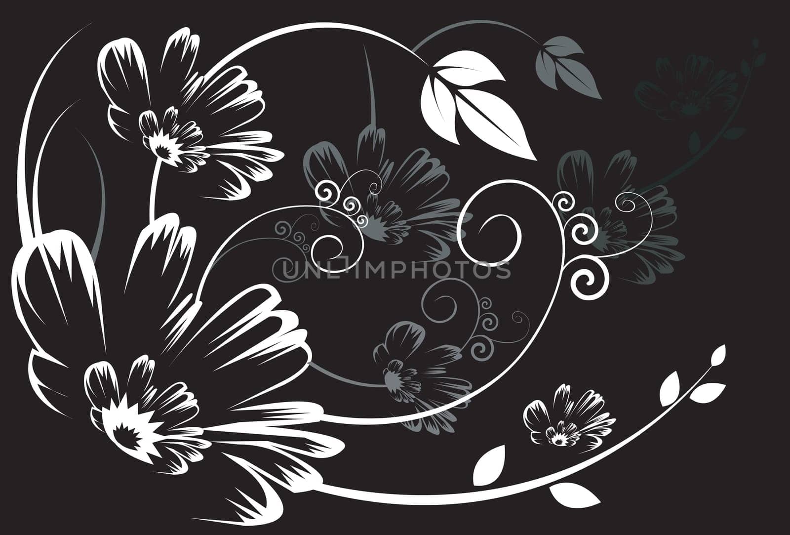 Floral design vectors