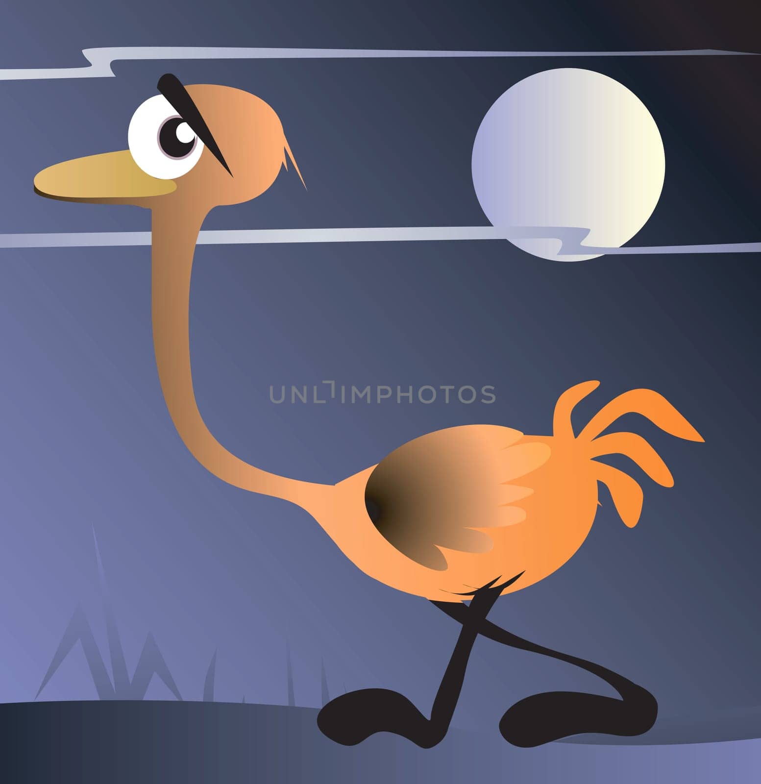 An ostrich walking under moonlight with fearful eye
