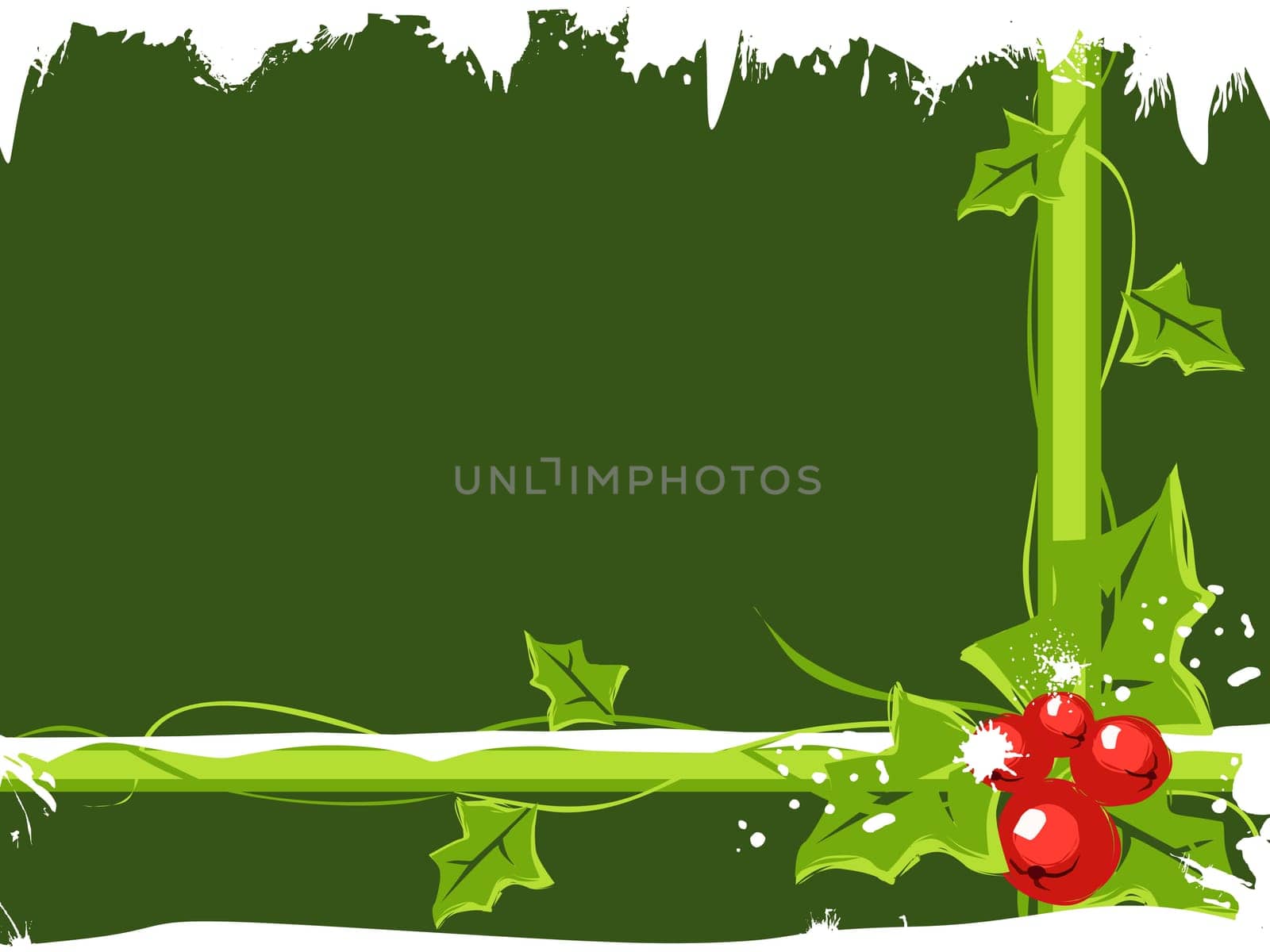 christmas holly berries with snow in green background