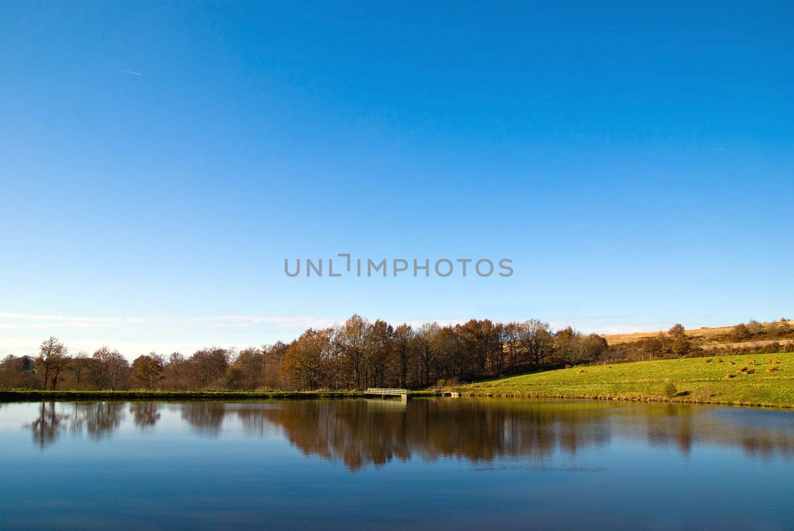 beautiful view of the landscape