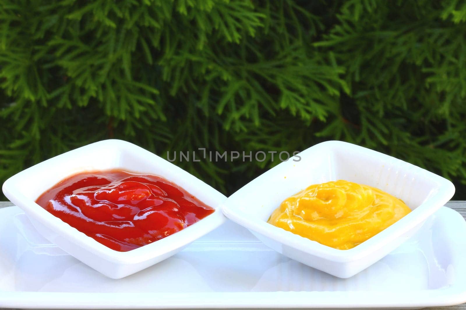 ketchup and mustard on white dishes