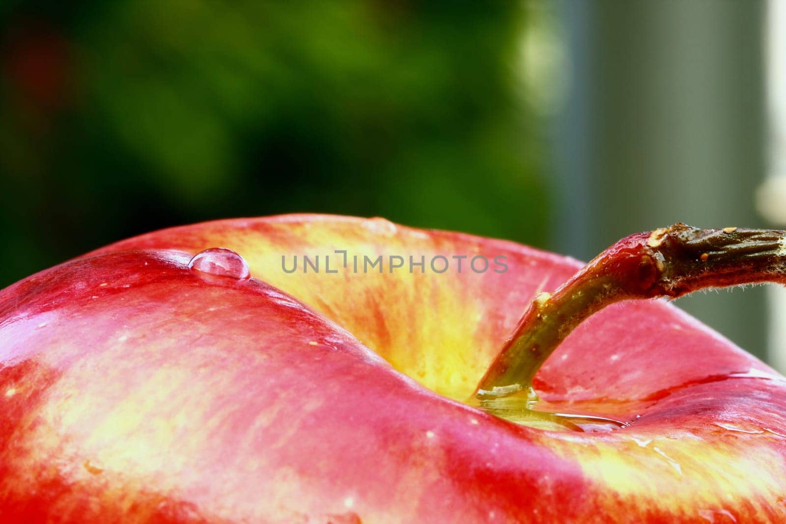 close up of water drops on the red apple