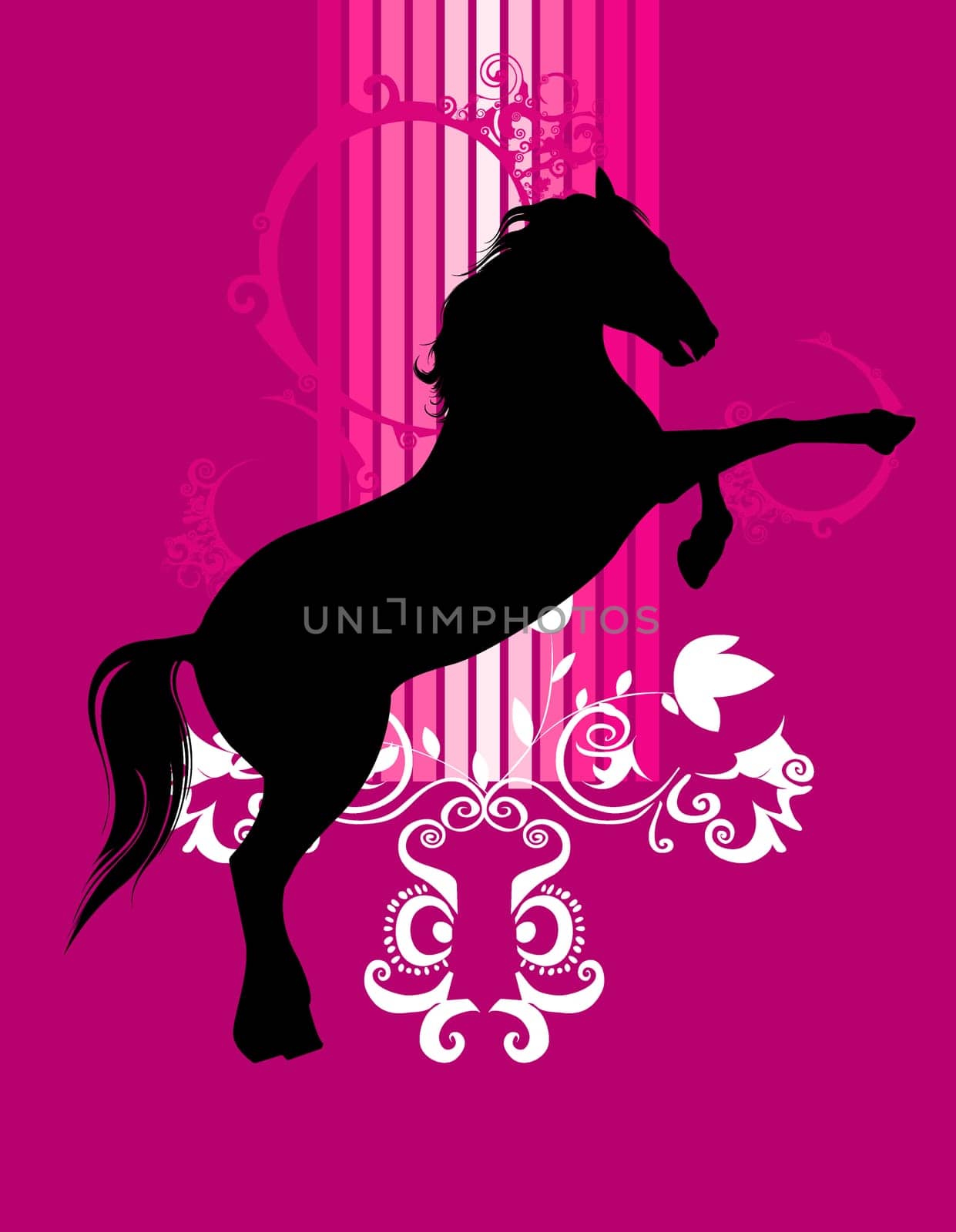 horse