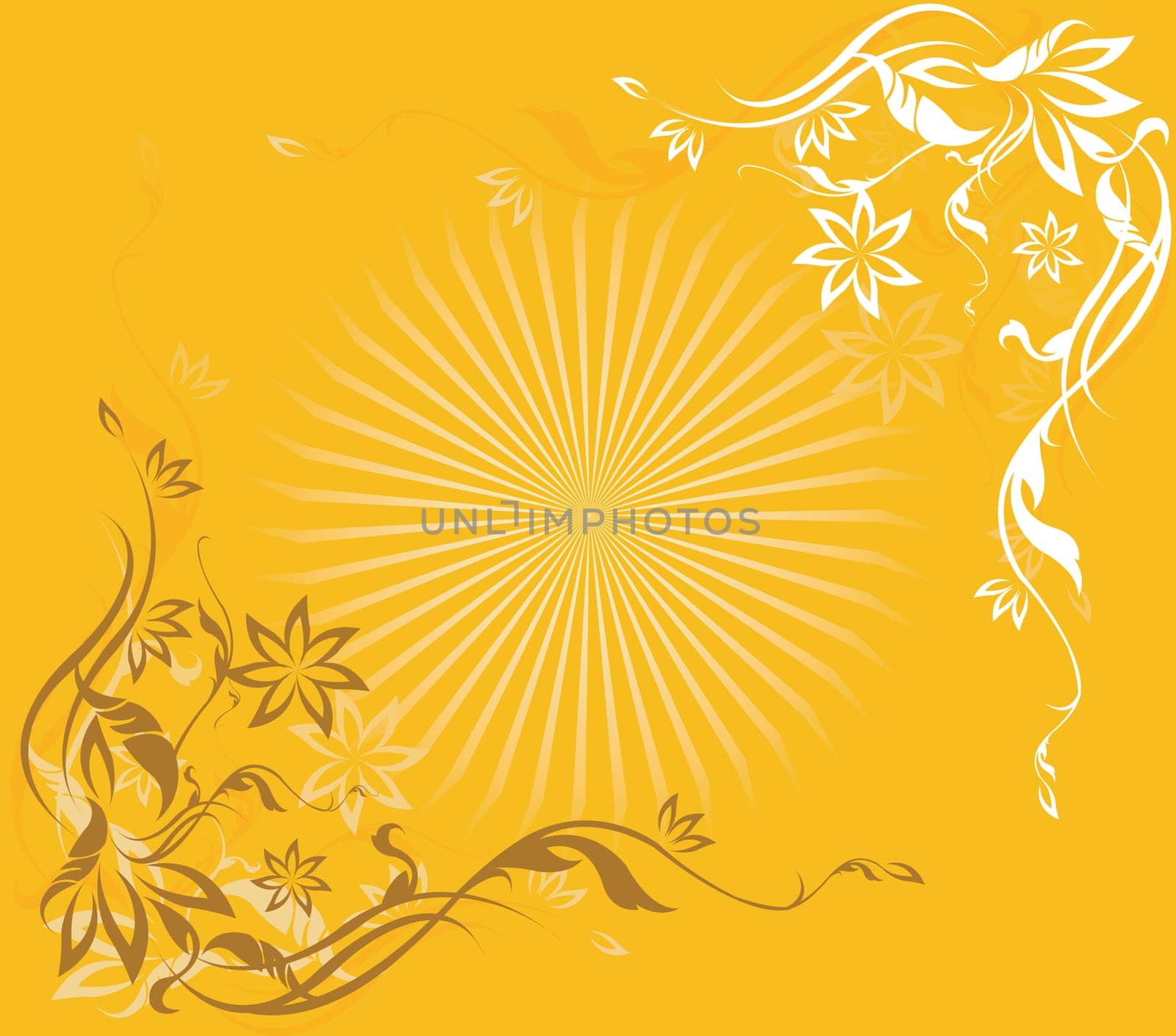 Floral design vectors
