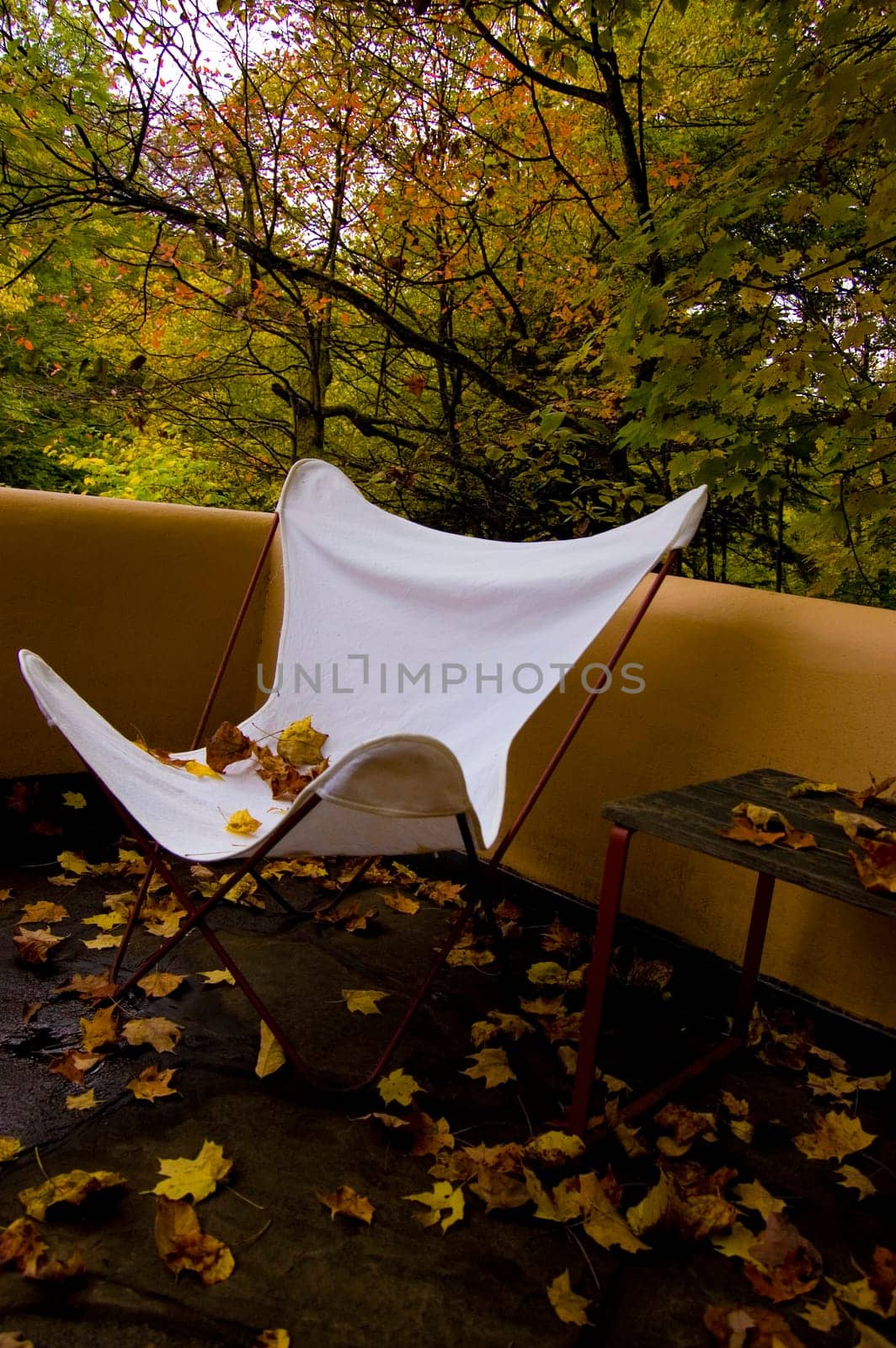 from Fallingwater