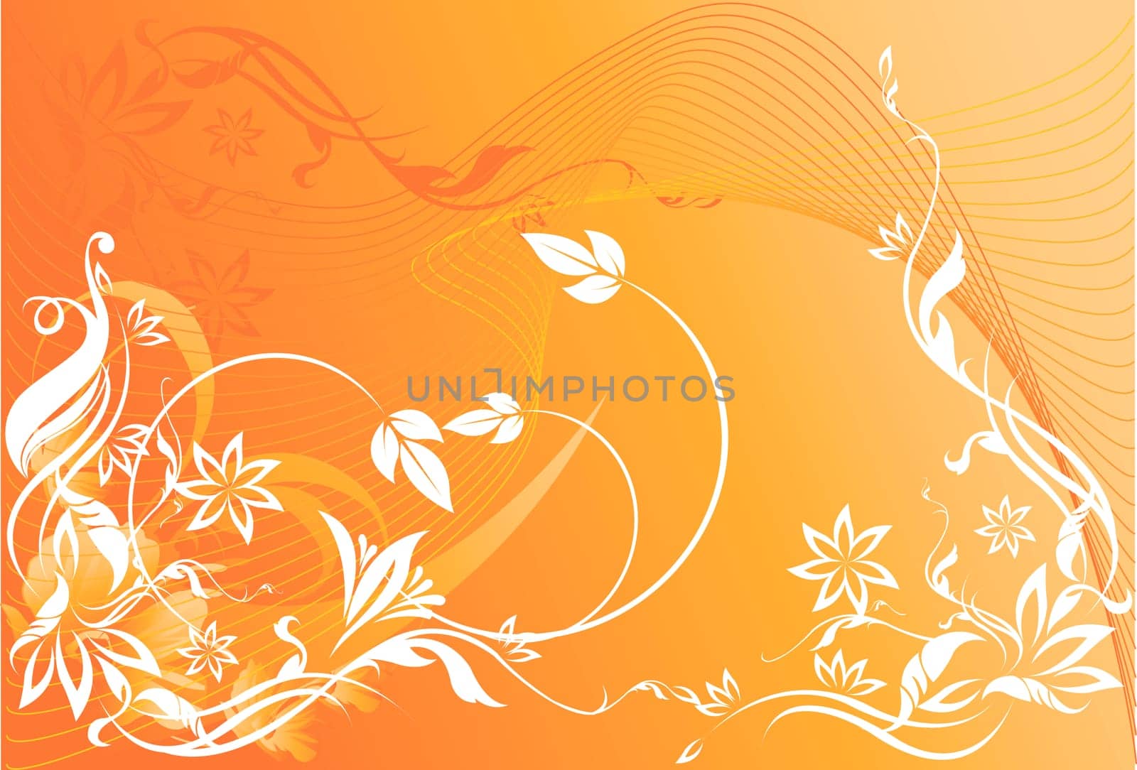 Floral design vectors