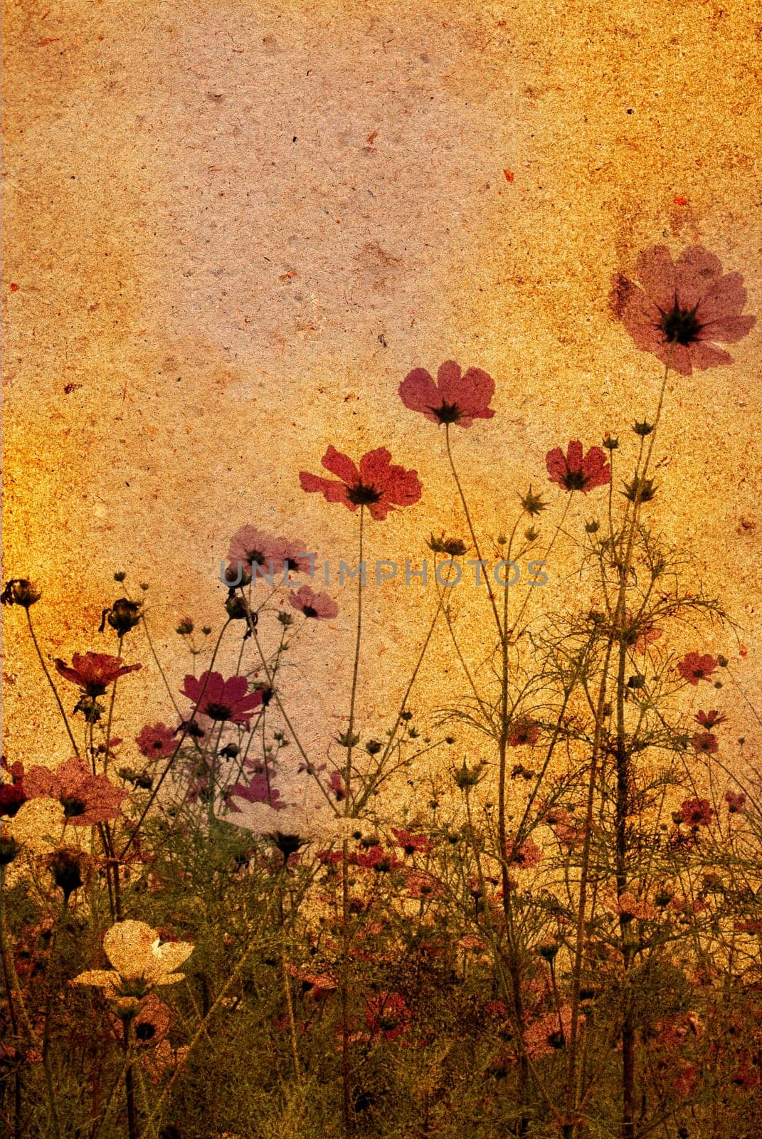 old-fashioned landscape