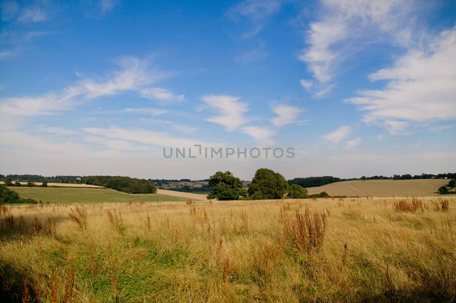 a sunny summer's day in the English countryside