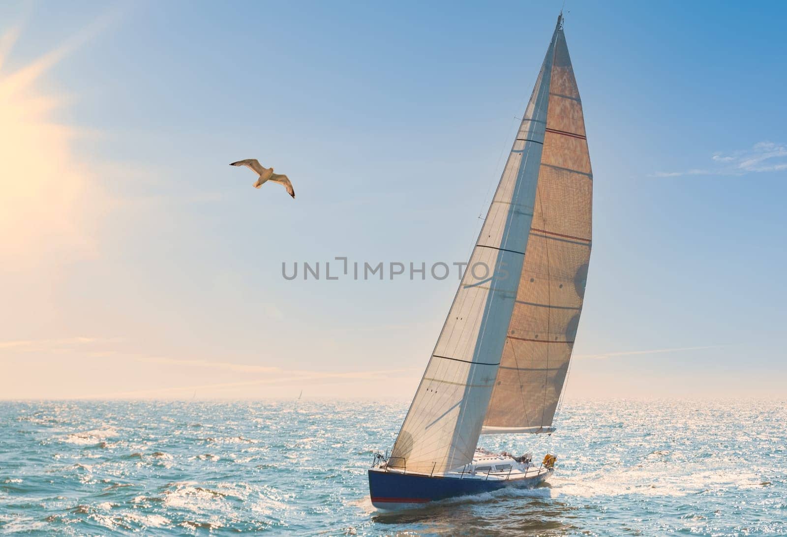 Sport sailors on the open sea against the light