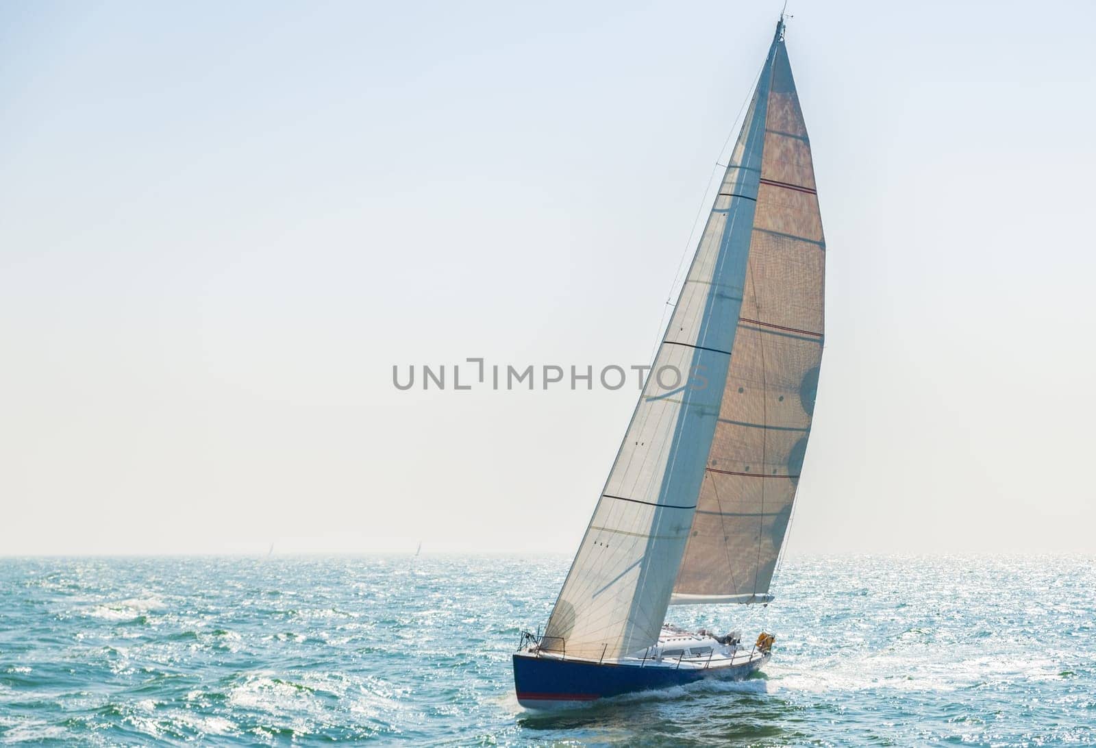 Sport sailors on the open sea against the light