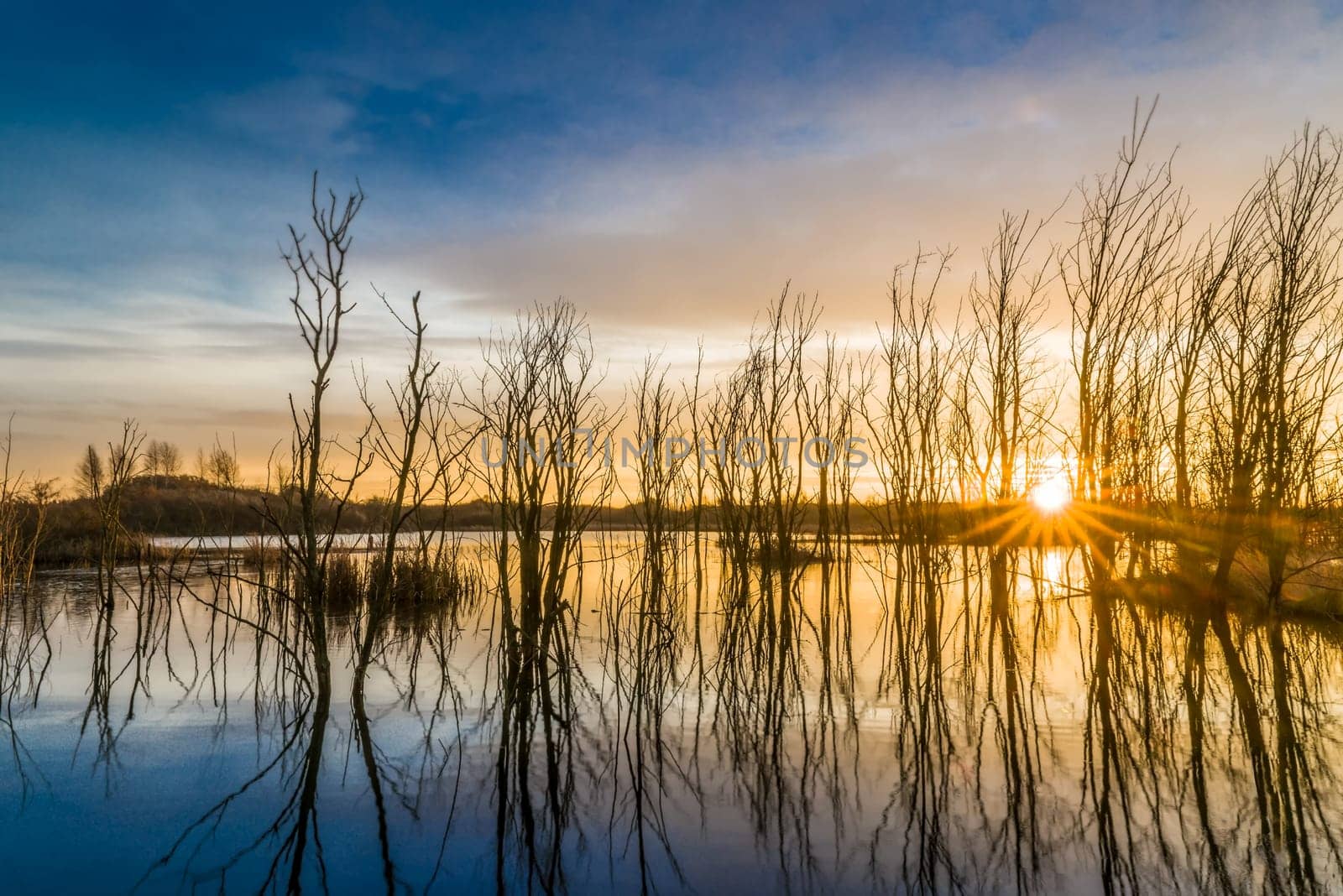 Untouched nature in the biotope nature reserve Markkleeberg at the Crostewitzer Graben