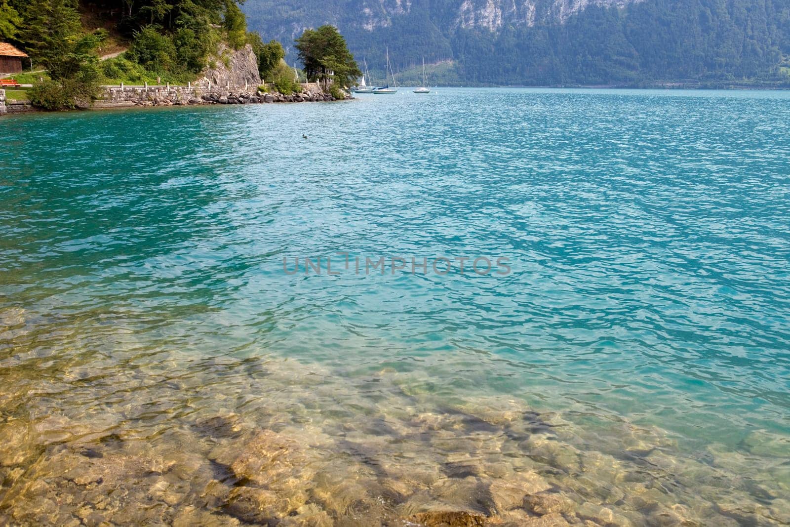 Alpine lake Brienz of Jungfrau region, viewed from Iseltwald in Switzerland