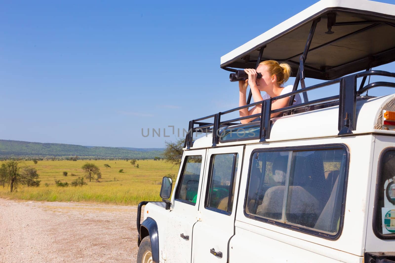 Young blond lady on safari standing in open roof jeep observing wild animals through binoculars.