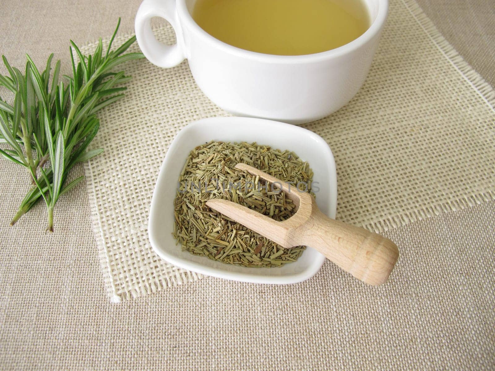 A cup of tea from dried Rosemary herbs