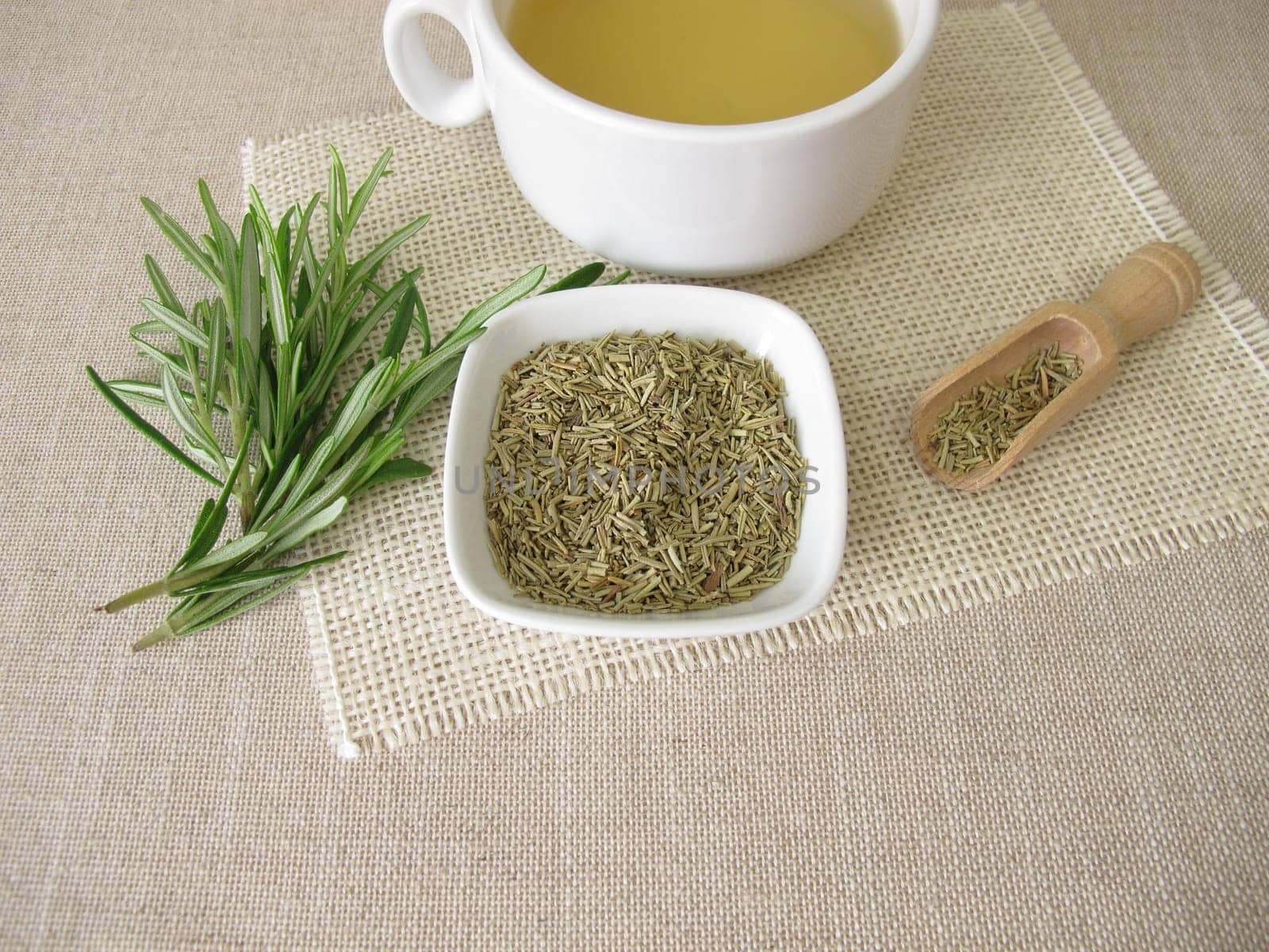 A cup of tea from dried Rosemary herbs