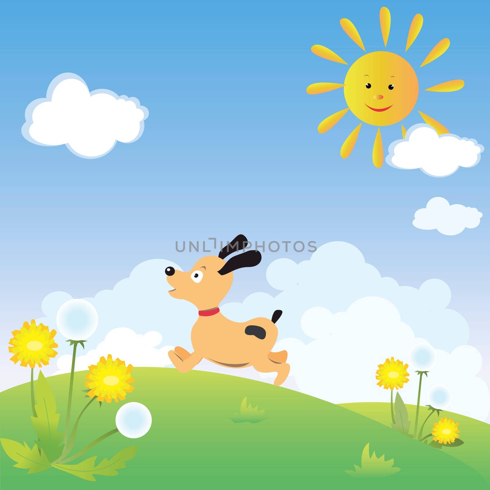 Happy dog running fast