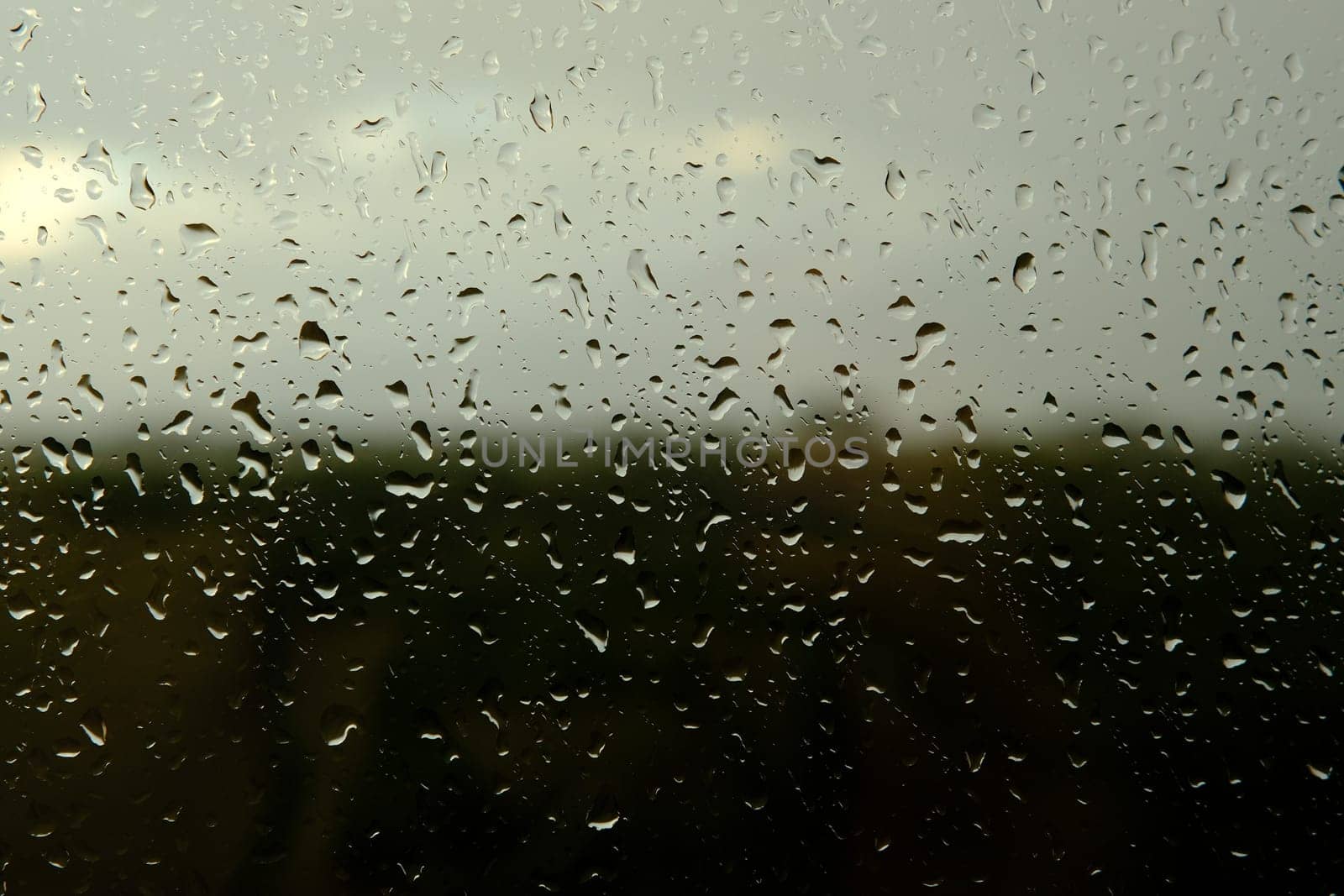Water drops on the glass - abstract background, Shades of Gray.
