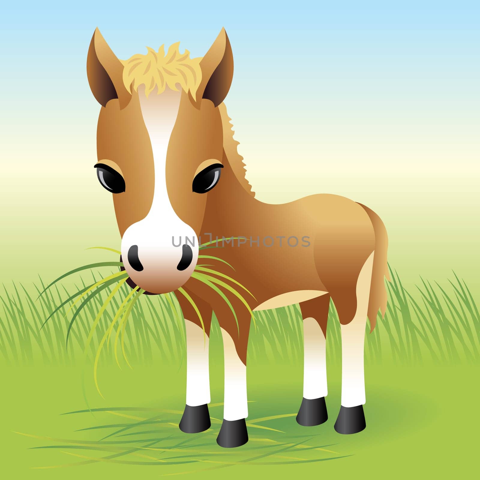 Vector illustration of a baby horse. If you like this illustration, check out our baby animal collection.    You can use any vector compatible software to open/modify/use the file. The different graphics are on separate layers so they can be easily edited