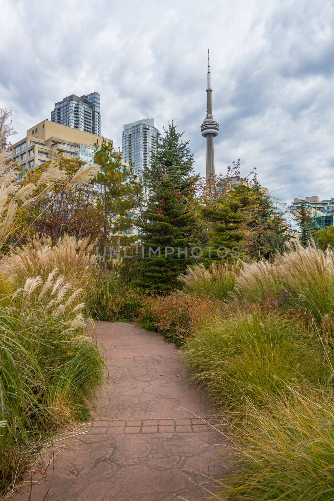 This photo was shot from Toronto city in autumn.