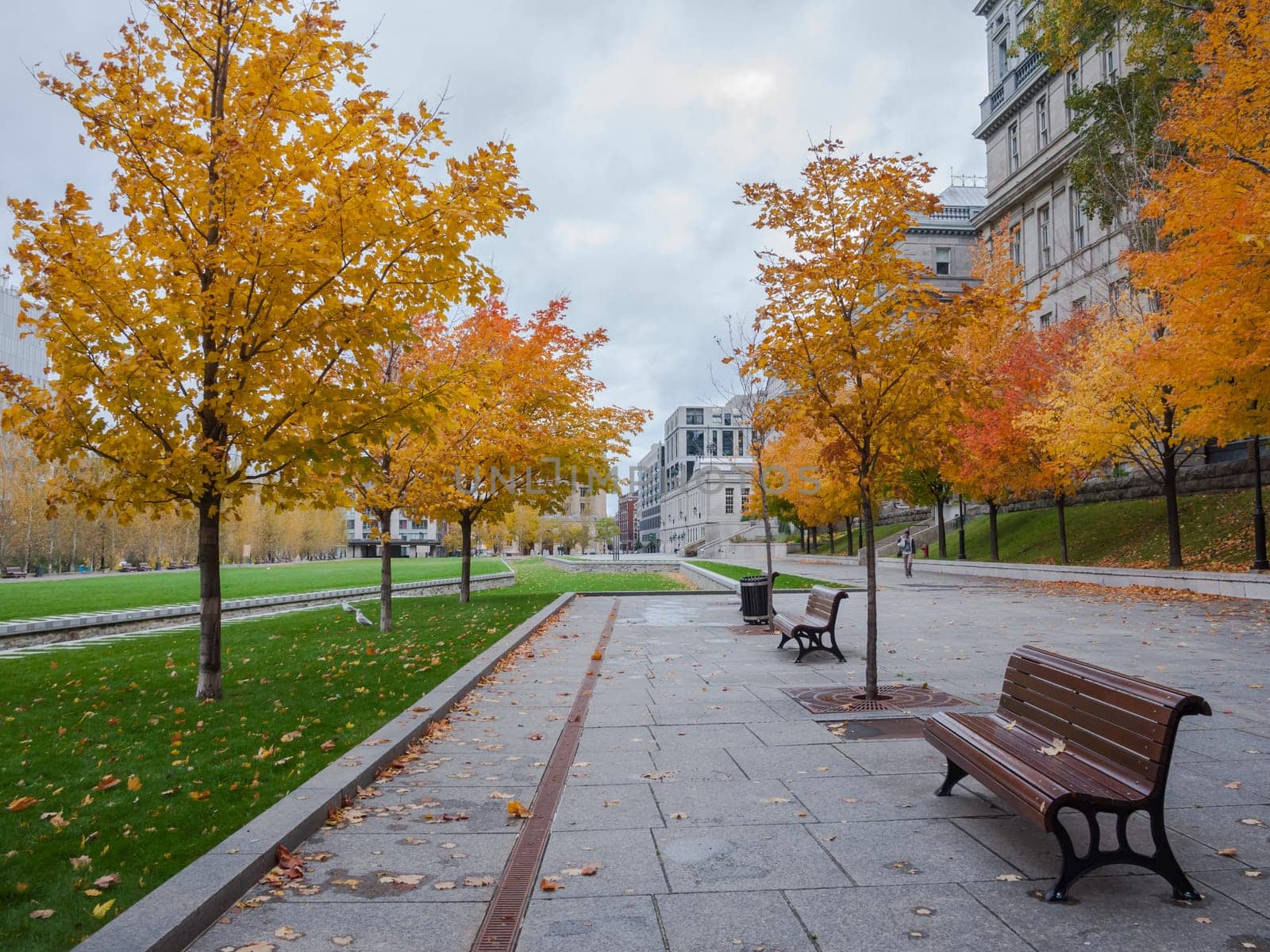 This photo was shot from Montreal city in autumn