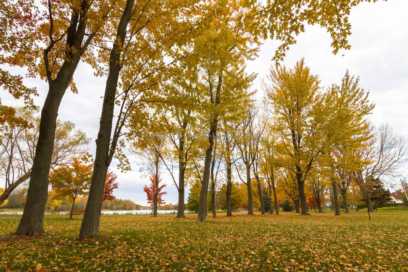 This photo was shot from Ottawa in autumn, Canada.
