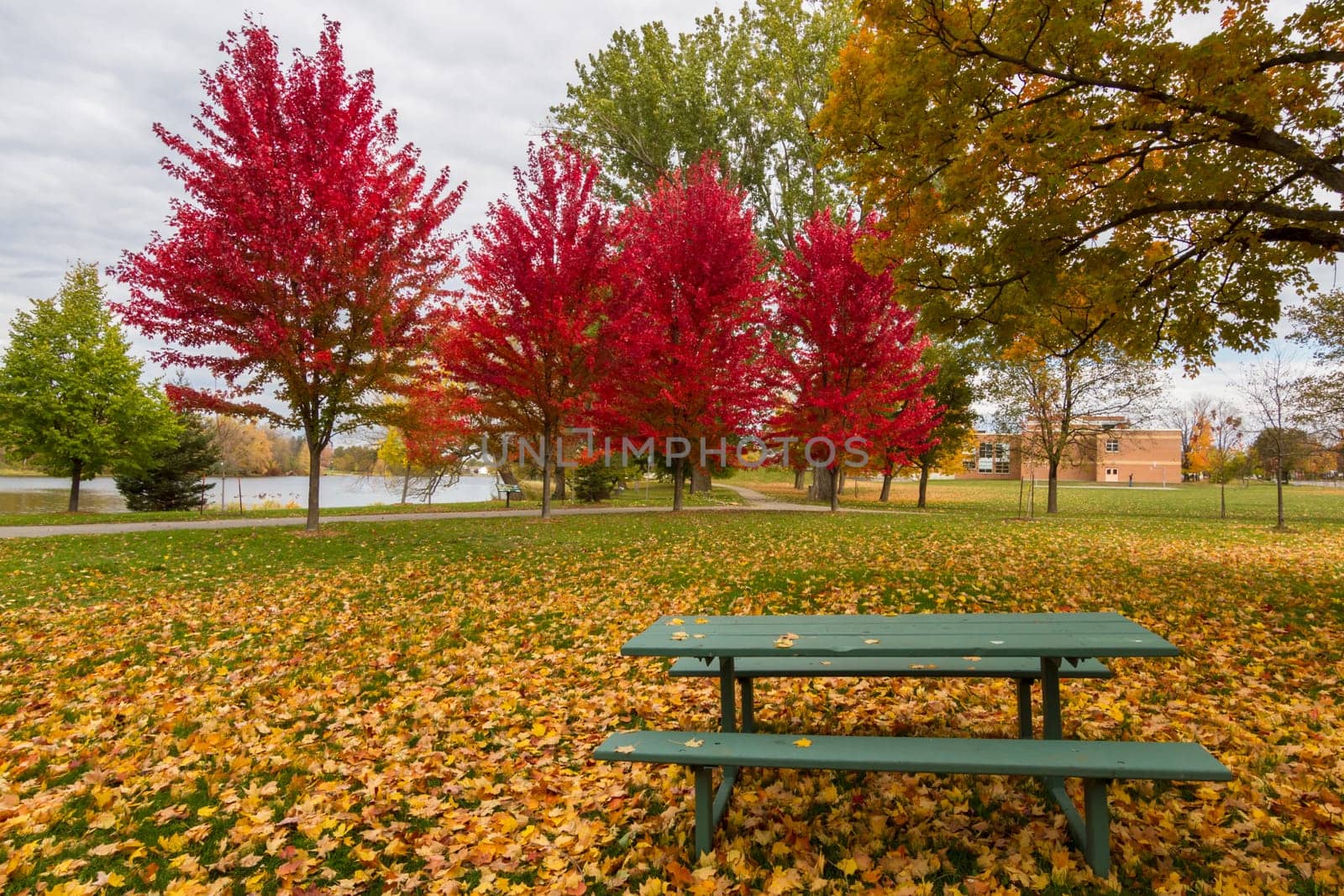 This photo was shot from Ottawa in autumn, Canada.