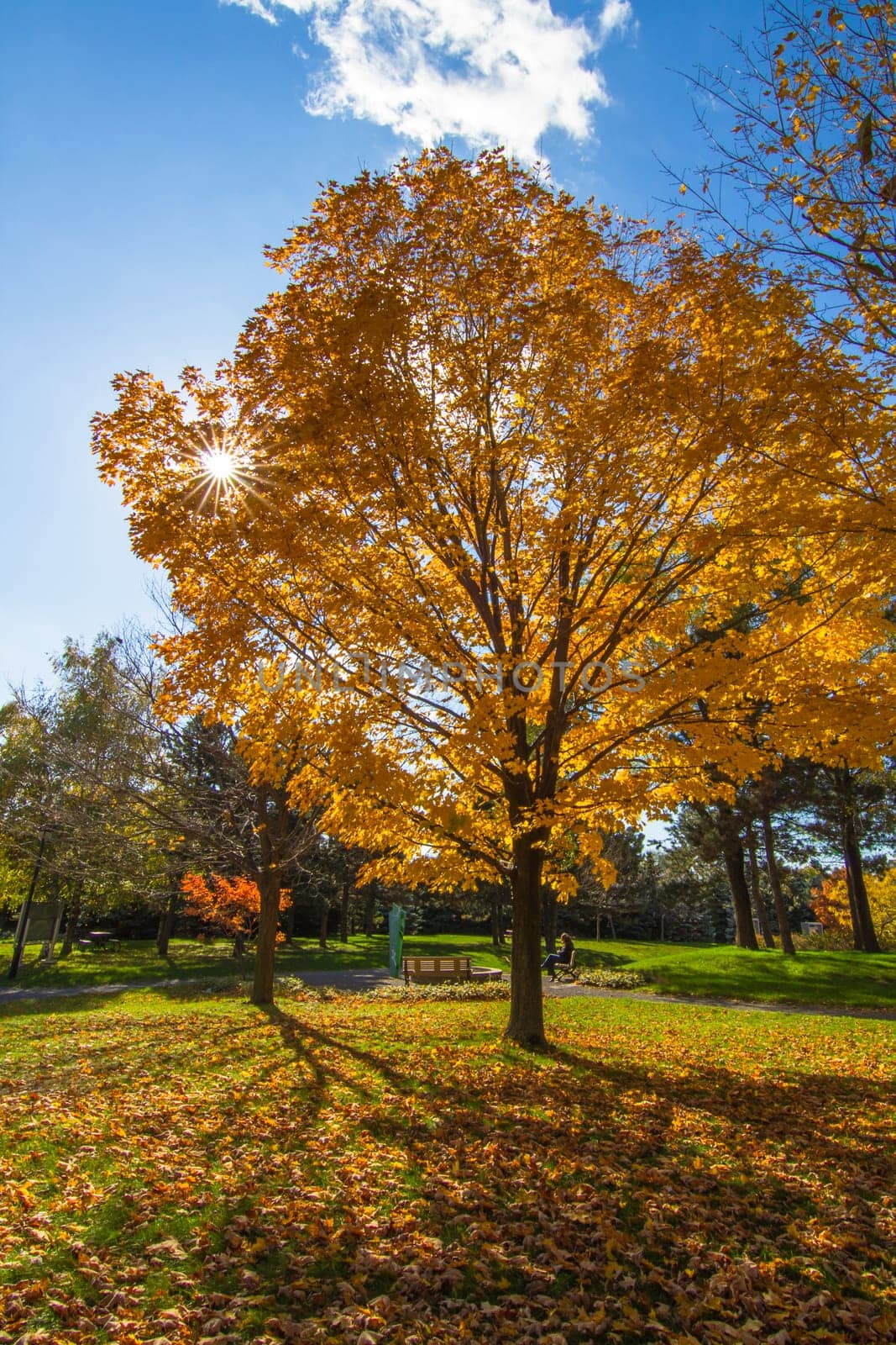 This photo was shot from Montreal city in autumn