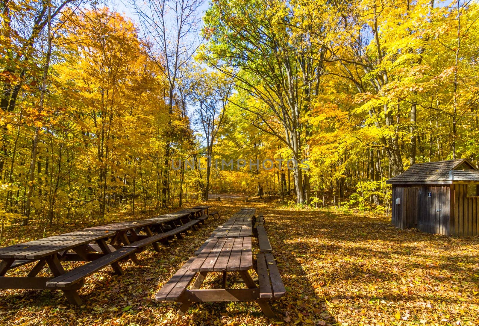 This photo was shot from Ottawa in autumn, Canada.