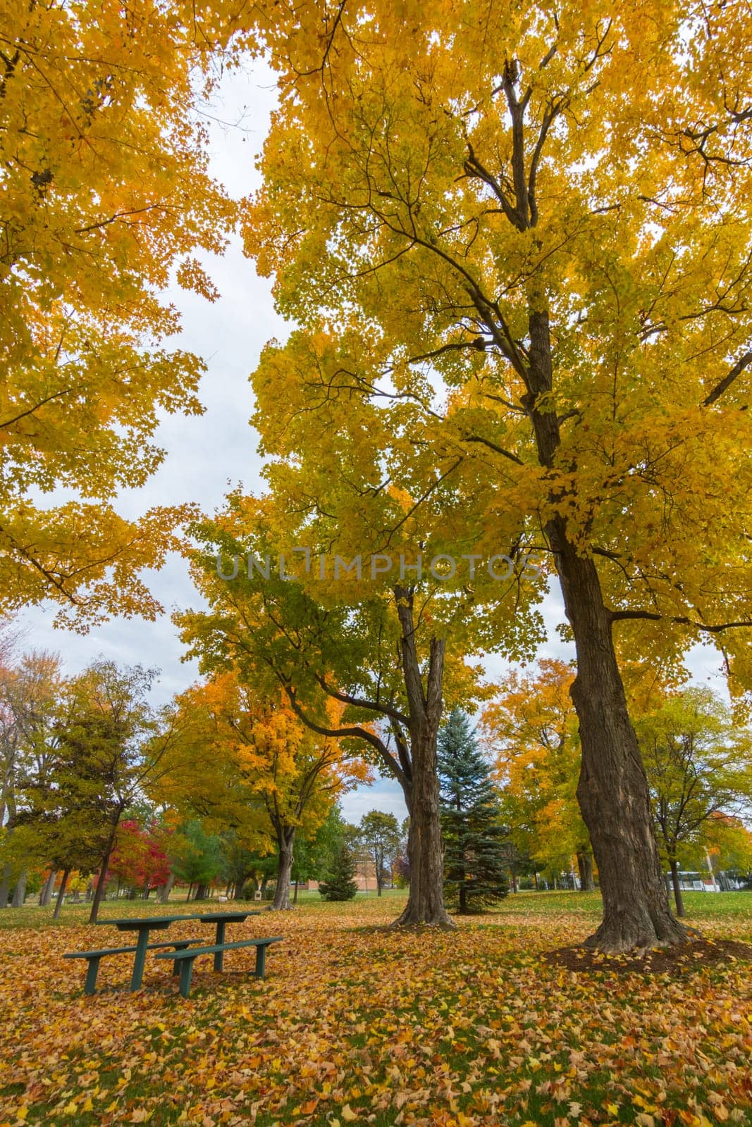 This photo was shot from Ottawa in autumn, Canada.