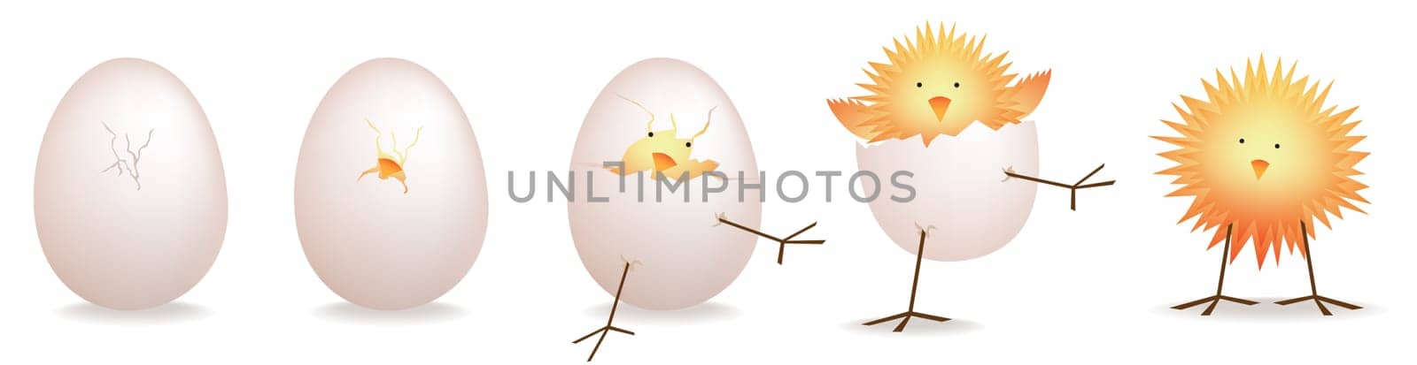 Detailed vector file, fully editable and scaleable to any size. To modify this vector file you will need vector editing software such as Adobe Illustrator, Freehand, or CorelDRAW. Maximum high resolution jpegs available too.