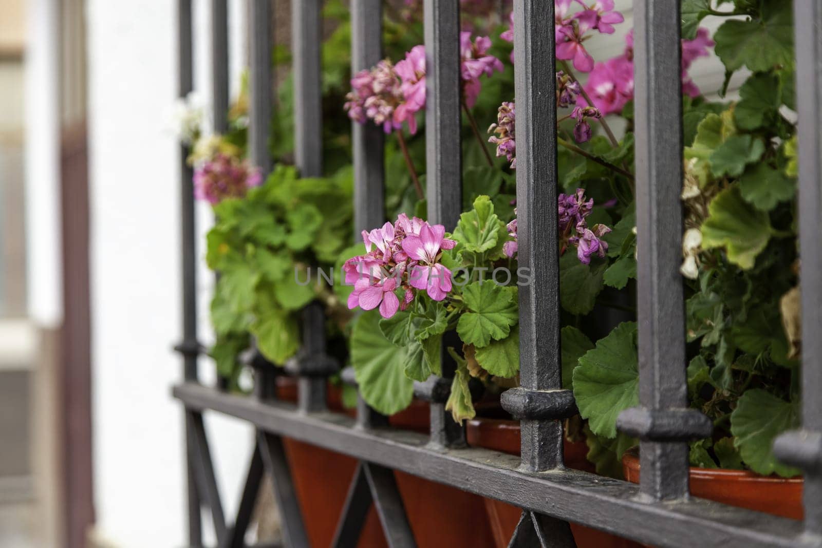 Detail of decoration with flowers on a facade