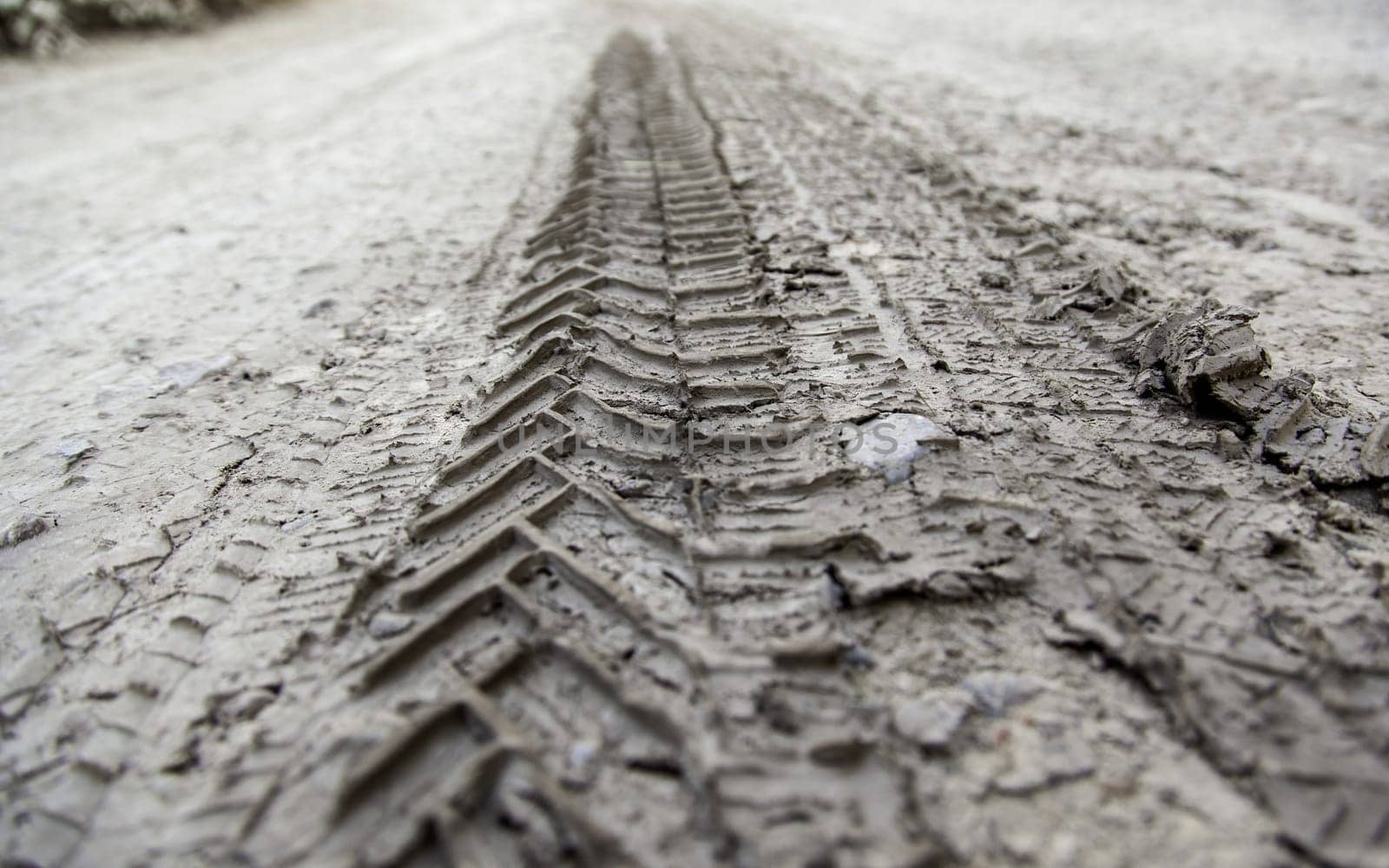Detail of off-road car marks on a wet and muddy ground