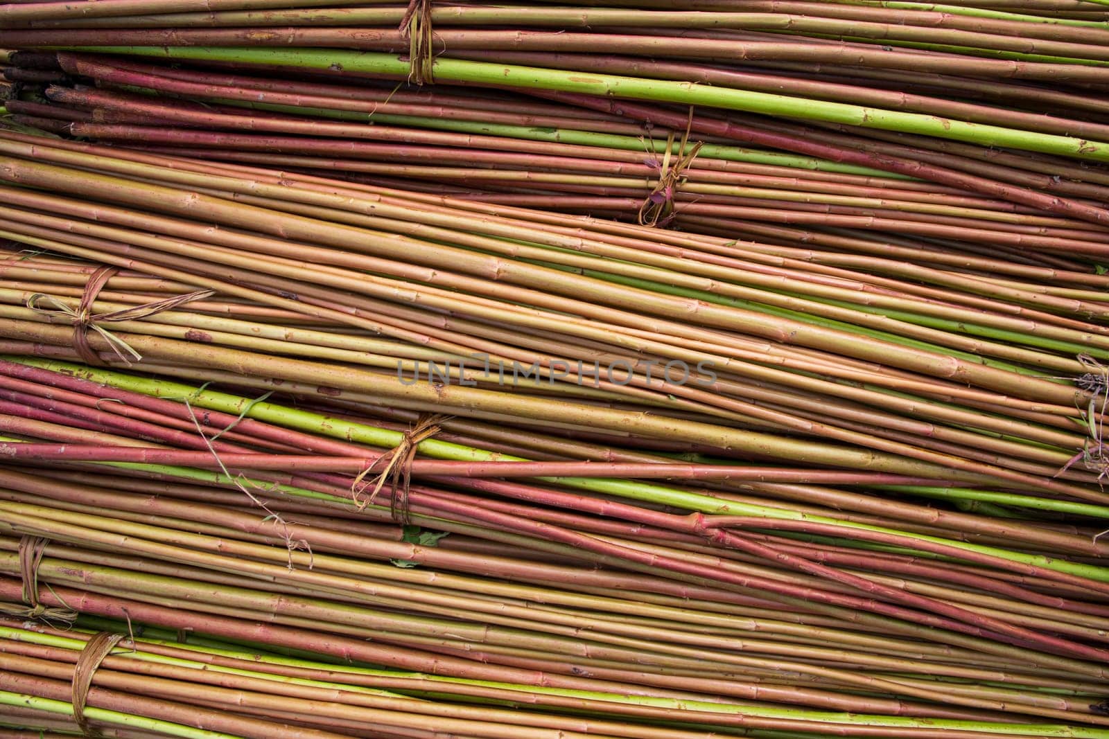 Red Green Raw Jute Texture background. This is the Called Golden Fiber in Bangladesh