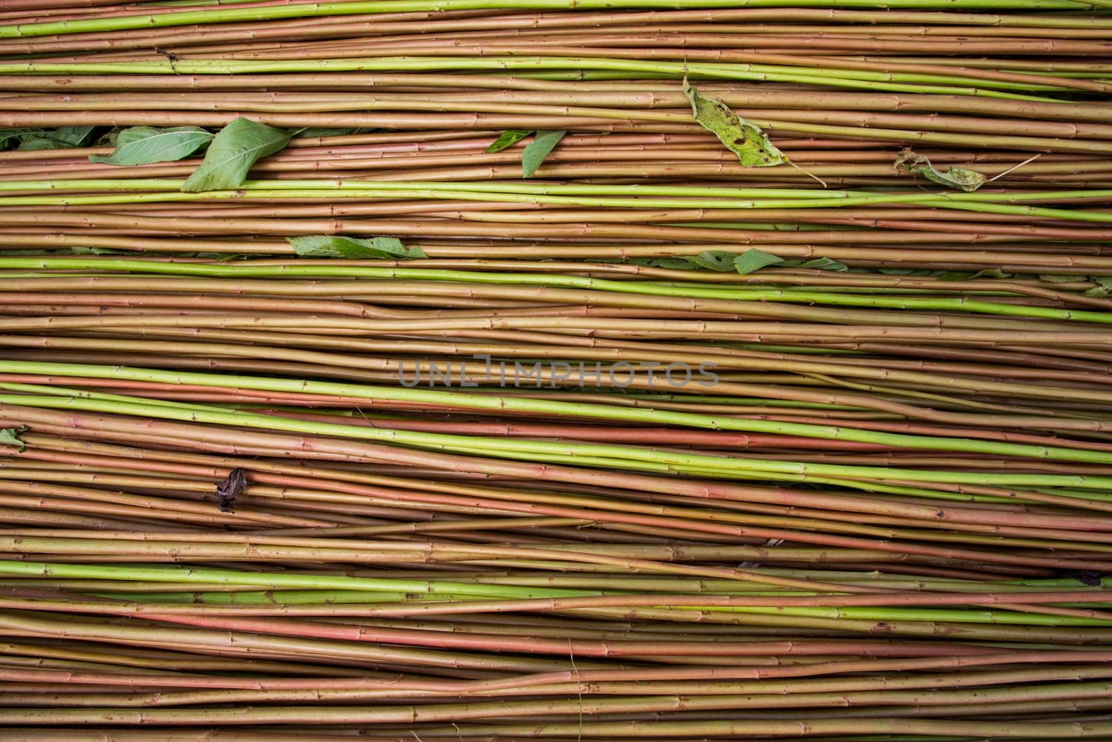 Red Green Raw Jute Texture background. This is the Called Golden Fiber in Bangladesh